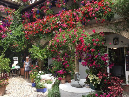 Patios de Córdoba